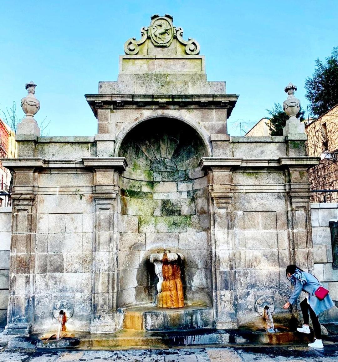 Calpurnia Abana Apartment Ourense